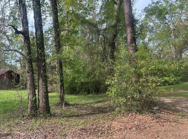 1759 Bevil Loop, Jasper, TX 75951