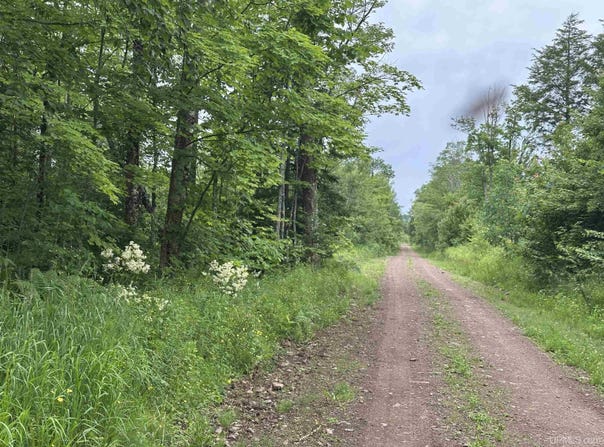 On FR 484 (aka Camp 3 Rd), Wakefield, MI 49968