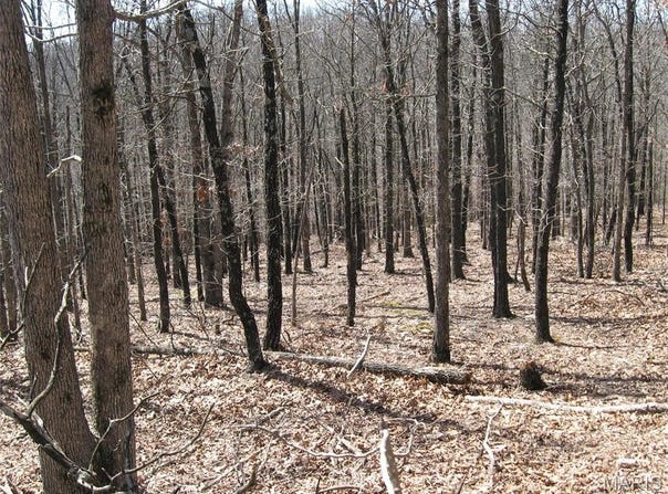 Superior Road, St Robert, MO 65584