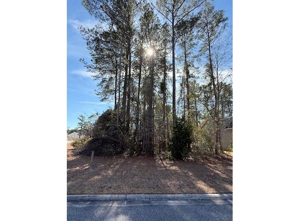 2001 Spring Valley Ct., Loris, SC 29569