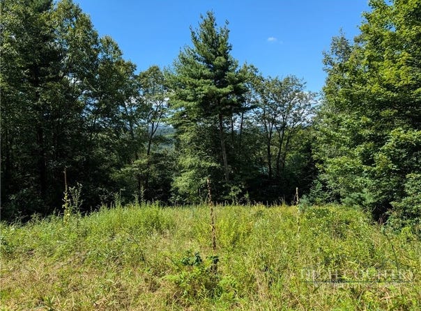 Parkway Pointe Drive lot: #3, West Jefferson, NC 28694