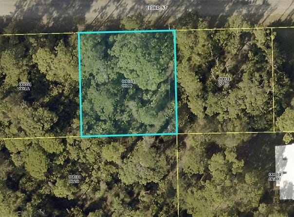 2902 E 3RD Street, LEHIGH ACRES, FL 33936