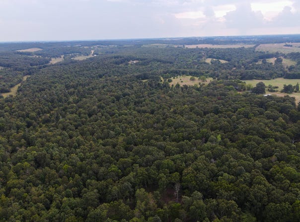 Tract 2 Co Rd 347, Koshkonong, MO 65692
