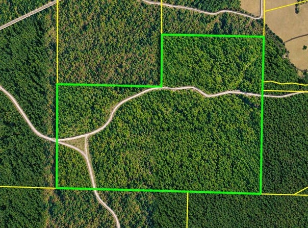 TBD (100) Manfred Road, Norman, AR 71960