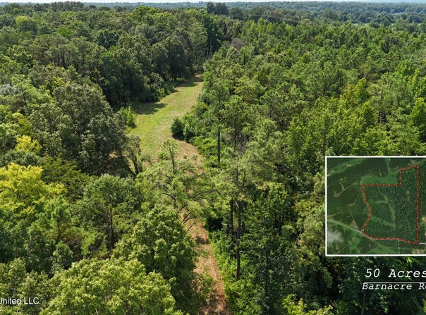 Barnacre Road, Batesville, MS 38606