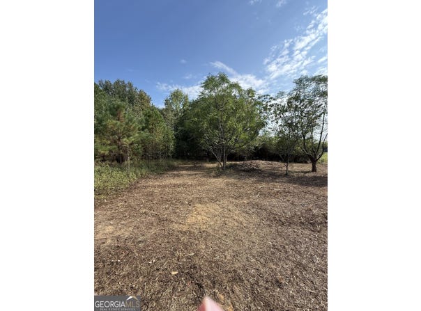 S Bartow Road, Bartow, GA 30413