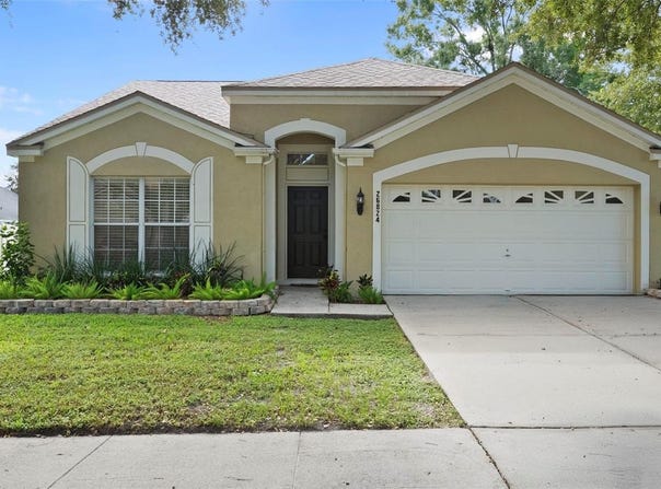 26824 ROSEANN Place, LUTZ, FL 33559
