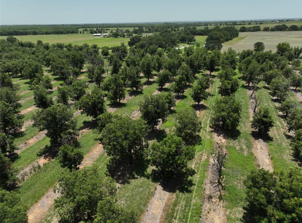 CR 426, Comanche, TX 76442