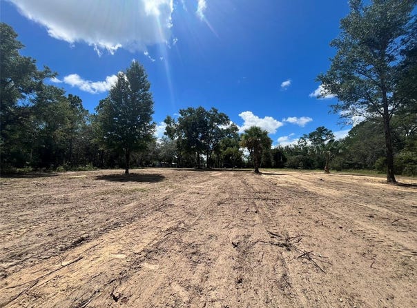 7731 NE 97TH Court, BRONSON, FL 32621