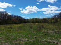 140th Avenue, Foreston, MN 56330