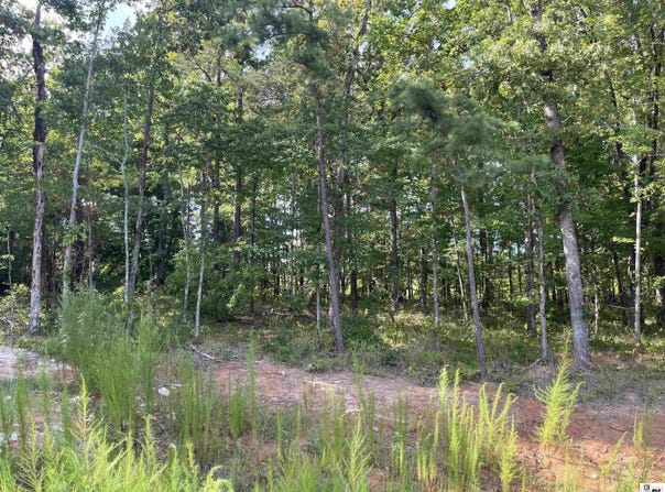 SHADE TREE TRACE, Ruston, LA 71270