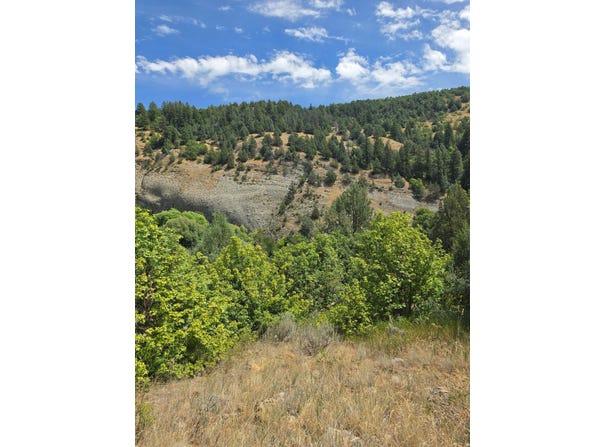 6999 E CUB RIVER Rd, Preston, ID 83263