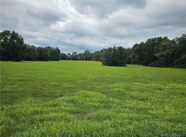 2956 N Anthony Avenue, Hernando, FL 34442
