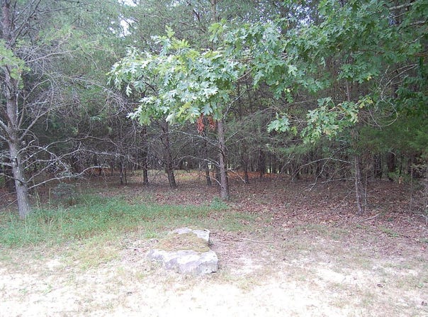 36 Bluff View Drive, Dunlap, TN 37327