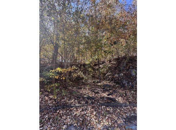 4622 Legacy Preserve Way SE, Brownsboro, AL 35741