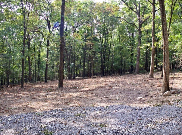 Ozark Point (Tract 1), Rudy, AR 72952