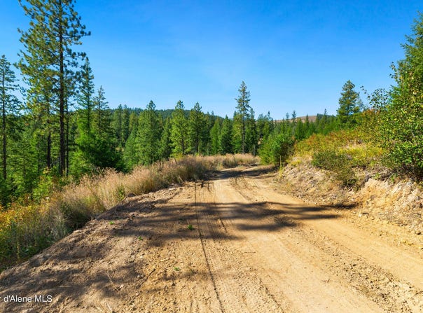 NNA Stone Rd Lot 5 (20.0 Acres), Blanchard, ID 83804