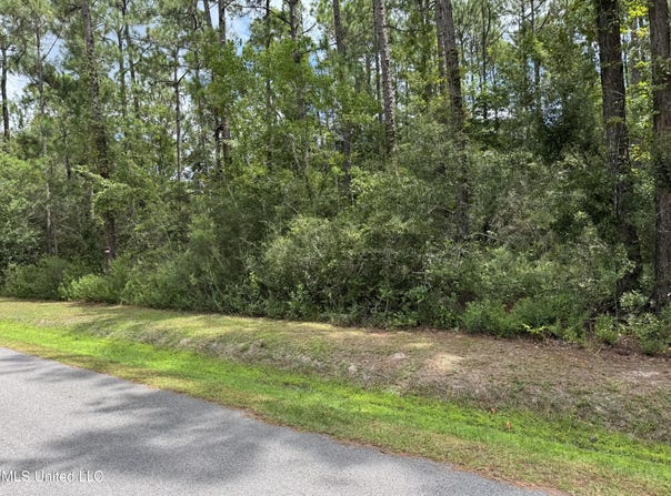 Tunica St, Bay Saint Louis, MS 39520