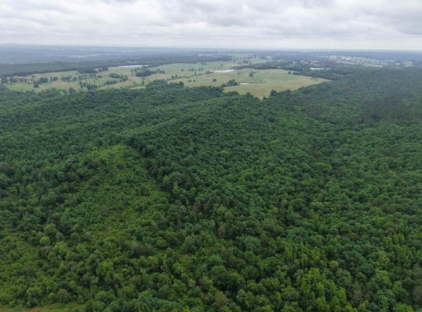 80 Thousand Road, Gillham, AR 71841