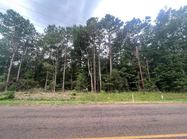 TRACT 57 FM 1751, San Augustine, TX 75972