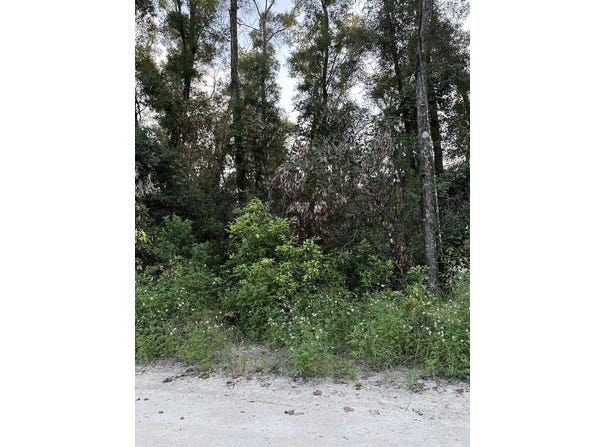 SW 81st Ter, Trenton, FL 32693