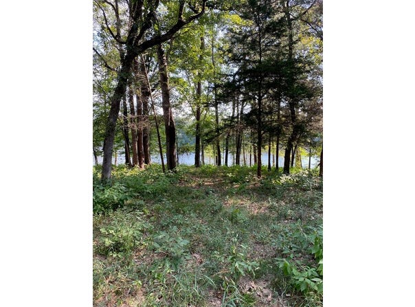 Naconiche Bend, Garrison, TX 75946