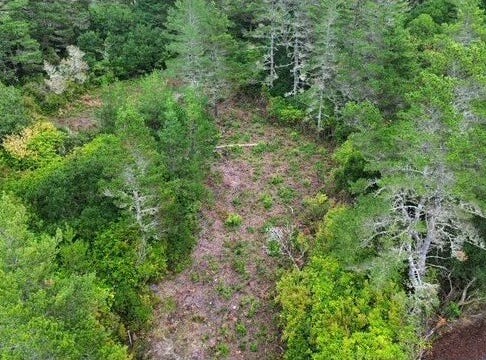 4 BONNETT Way, Florence, OR 97439