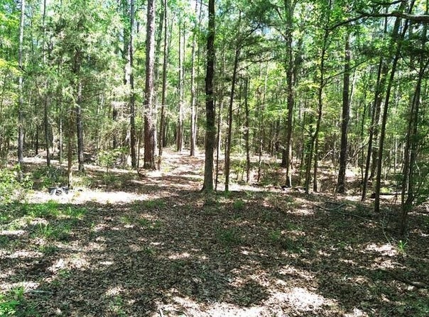 PARCEL#41620 CR 4720, Kennard, TX 75847