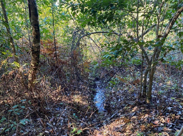 1 Highway 219, Pinetucky, AL 35042