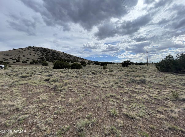 03 Aspen Drive, Concho, AZ 85924