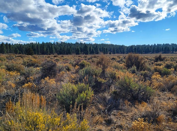 Tableland Road, Sprague River, OR 97639