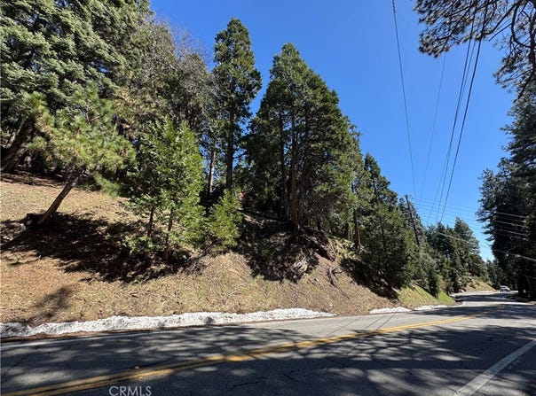 North Road, Twin Peaks, CA 92391