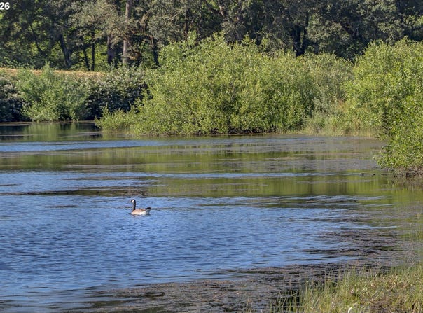 Delight Valley, CottageGrove, OR 97424