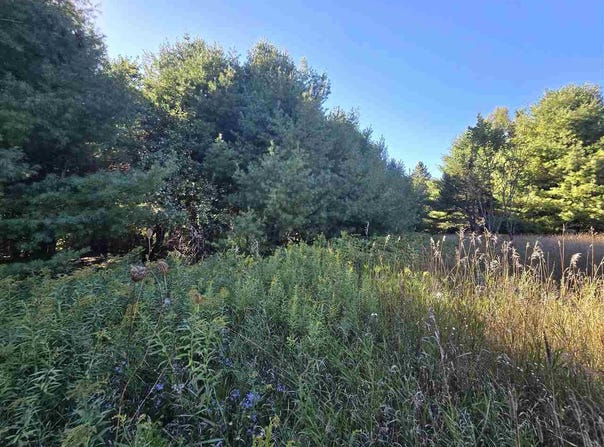 10534 SUNSET, CARP LAKE, MI 49718