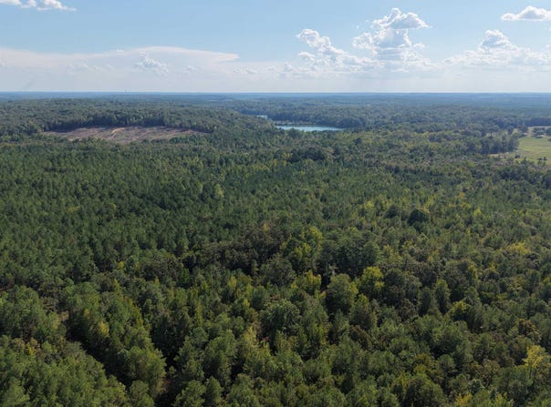 Glass Rd, Sulligent, AL 35586