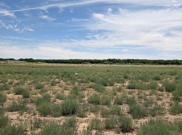 6525 Valle Del Rio Drive, La Mesa, NM 88044
