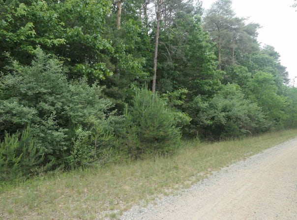 Merrill Drive, Vestaburg, MI 48891