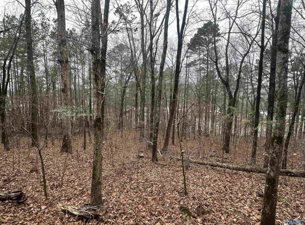 0.62 Riddles Bend Road, Rainbow City, AL 35906
