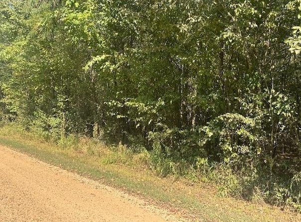 TOW BOAT Ln, Adamsville, TN 38310