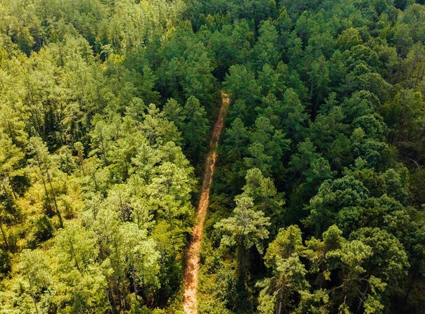 County Road 428, PARIS, MS 38949