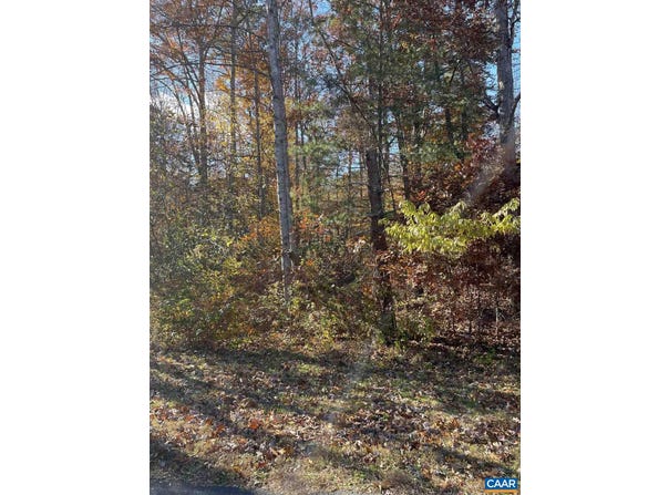 20 CHIPPEWA LN, PALMYRA, VA 22963