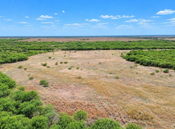 Davis Road, Archer City, TX 76351