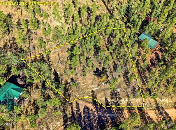 12 W Pergatory Drive, Alpine, AZ 85920