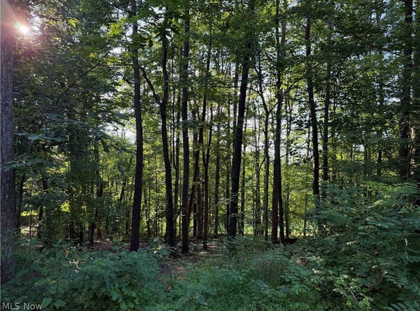 Fisher Ridge Rd, Tract 6, Fleming, OH 45729