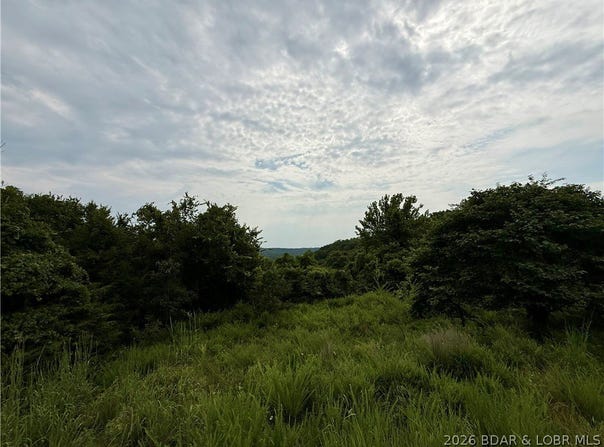 EAGLES LANDING lot: 50 & 52, Edwards, MO 65326