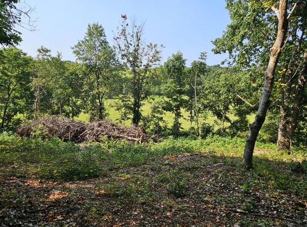 Mclean Road, Ozark, MO 65721