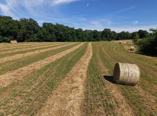 7058 Drennon rd, Campbellsburg, KY 40075