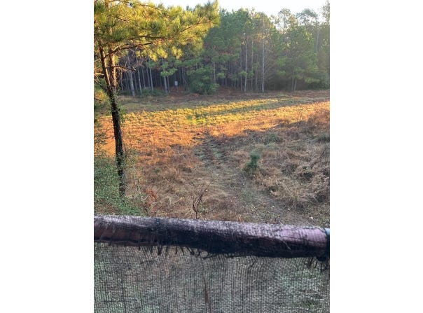 Tract 21 Kickapoo Road, Groveton, TX 75845