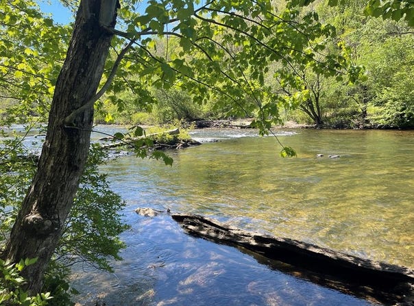 346 River Club Drive lot: 5, Cullowhee, NC 28723