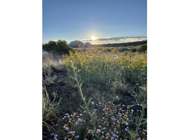 165 Reid Road, Datil, NM 87821